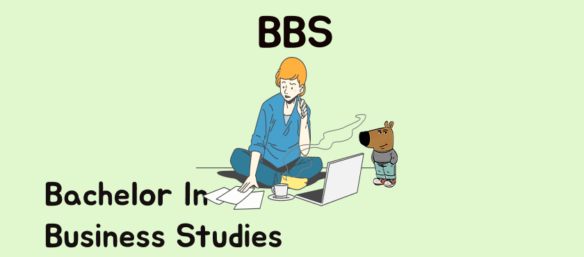 Bachelor In Business Studies Post Thumbnail